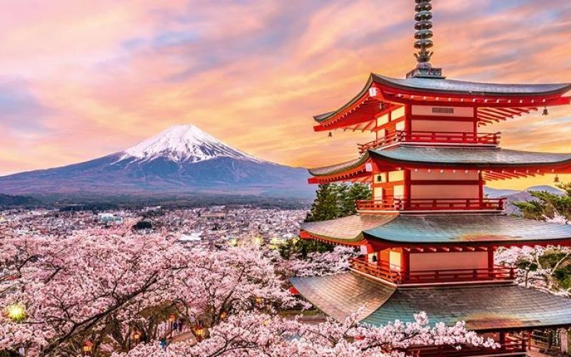 Book Japan Tours And Enjoy Special Anime Tours And More