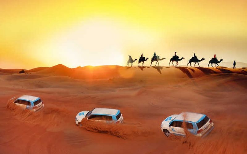 Belly Dance Show and evening Desert Safari: